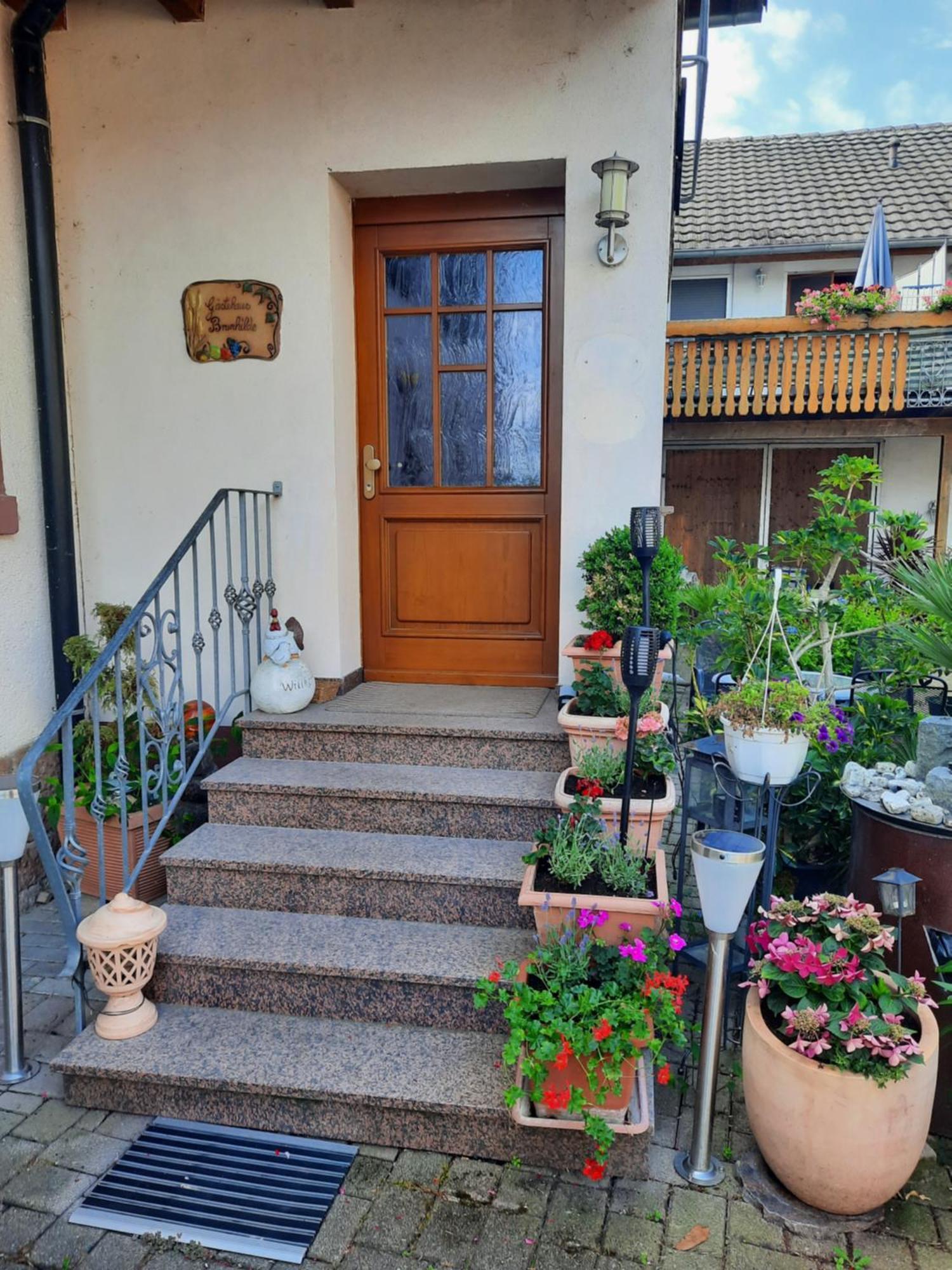 Appartement Meyerhof à Wittenweier Extérieur photo