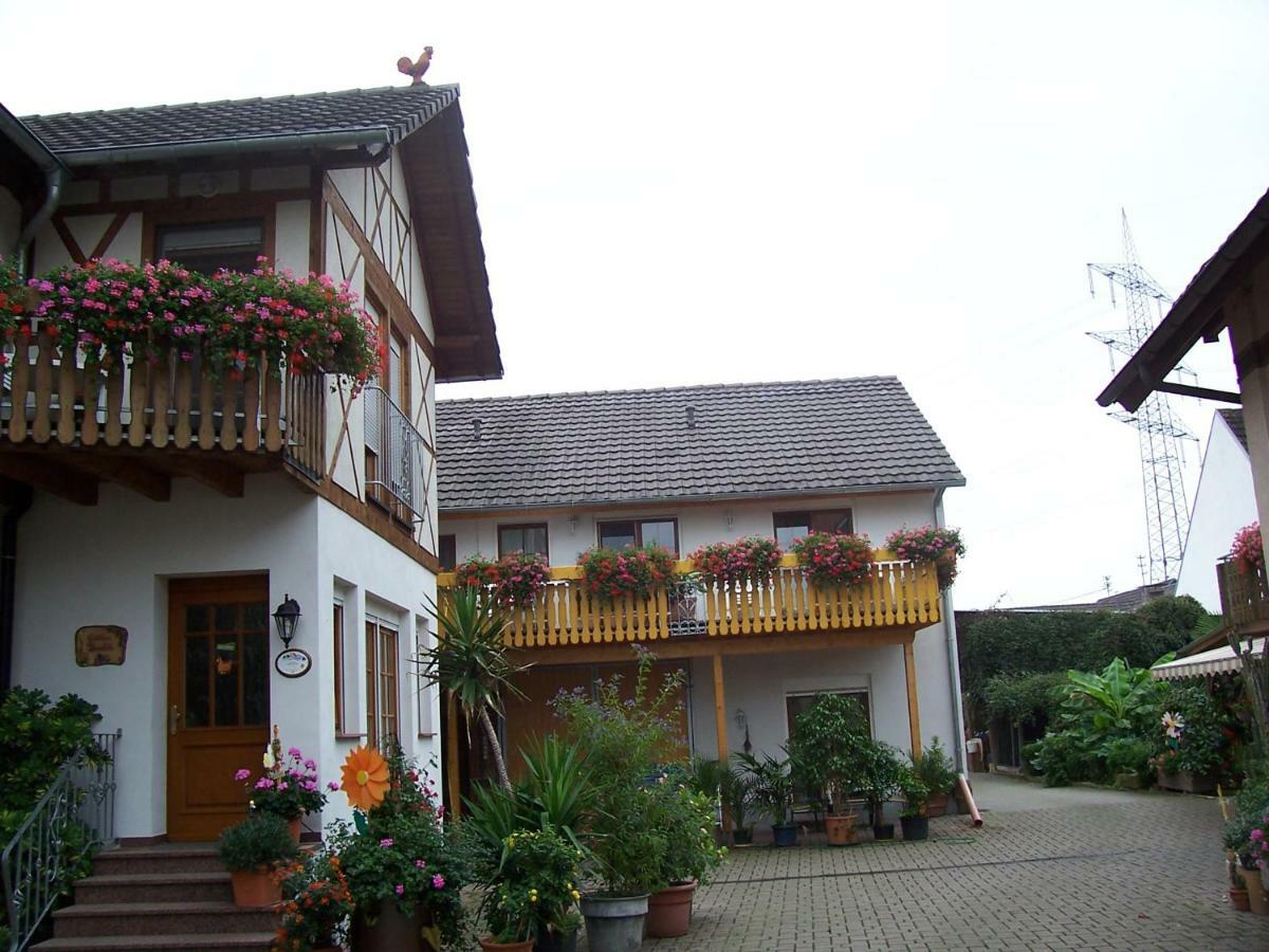 Appartement Meyerhof à Wittenweier Extérieur photo