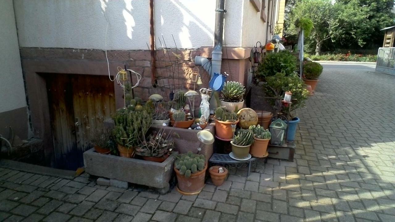 Appartement Meyerhof à Wittenweier Extérieur photo