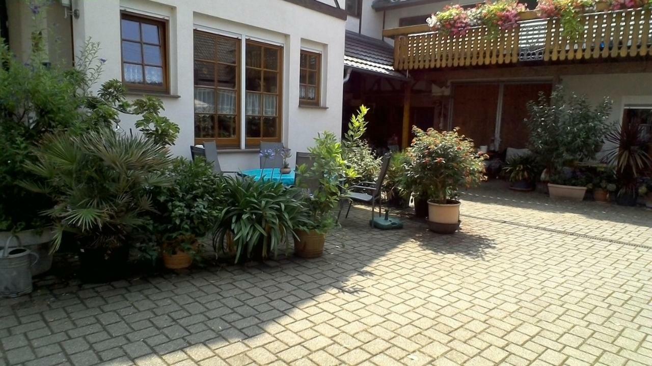 Appartement Meyerhof à Wittenweier Extérieur photo