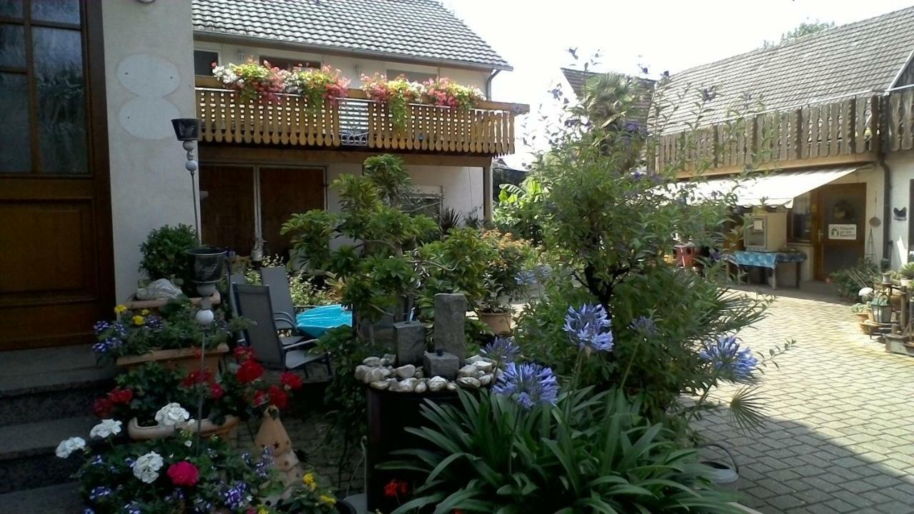 Appartement Meyerhof à Wittenweier Extérieur photo